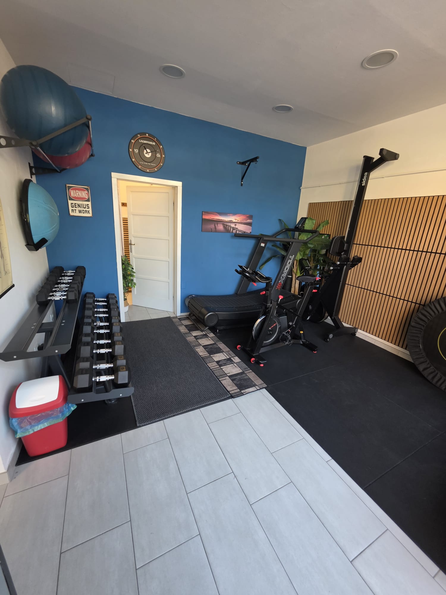 Area Cardio e Manubri con Tapis Roulant Curvo Toorx e Parete Wood Slat